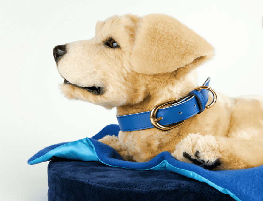 high tech robot dog